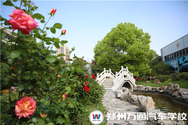 職業院校大PK，這些要點你都知道嗎？